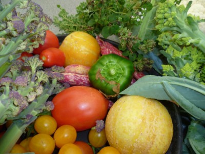 a typical garden harvest