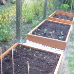 Raised growing beds