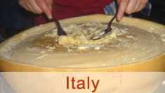 italian recipes